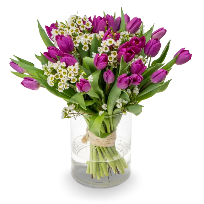 Kytice fialových tulipánů